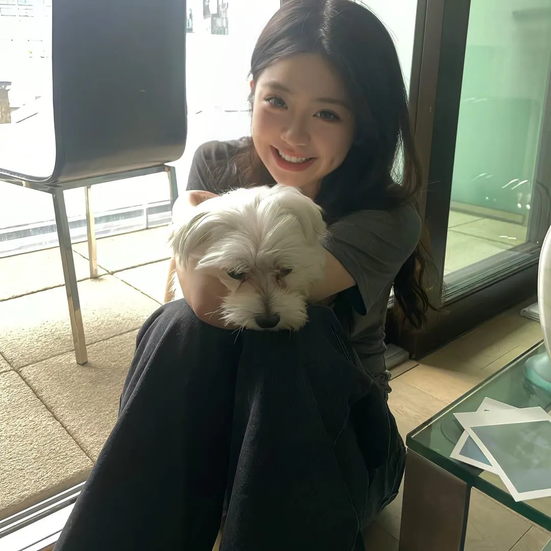 系统 海报